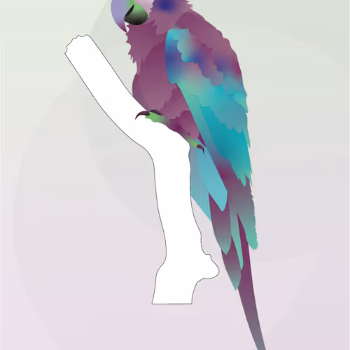 Vector Birds