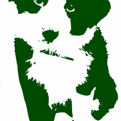 BabyCollie Moss