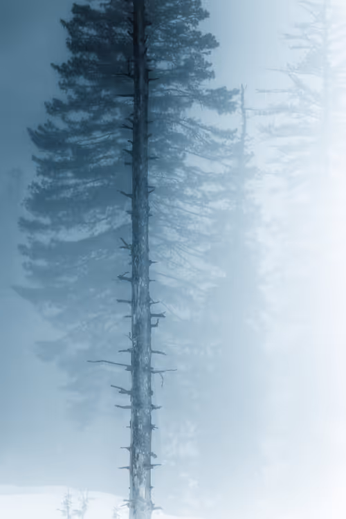 Item #100125324817140700473098673733568876555088890877521994710768706046314491674625 Media