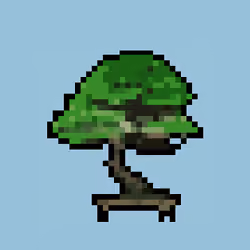 Bonsai Collection #1