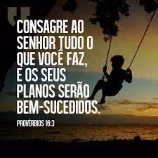 Untitled Collection #284585021