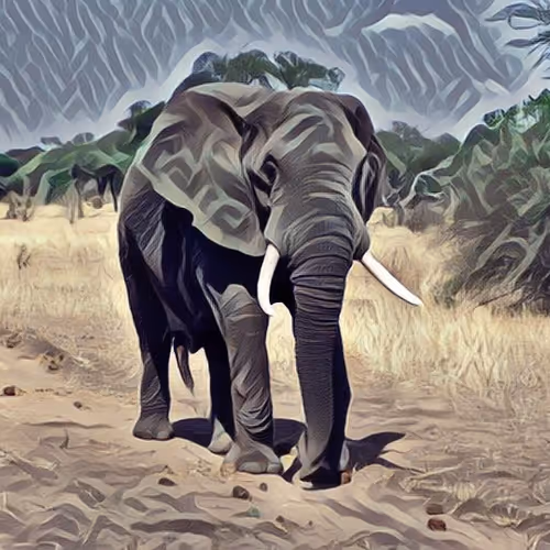 Animal Art V4