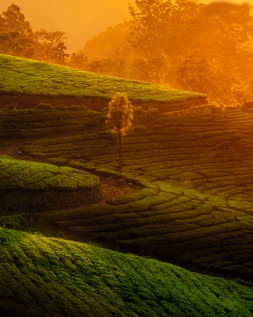 Item #87798985799507320700629747450071319071891674091342175736199796486090390503425 Media