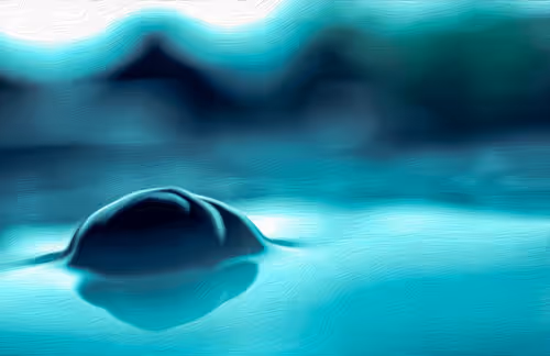 Item #95930744612989253264341458363878669706731092846429446161851758625514242179073 Media