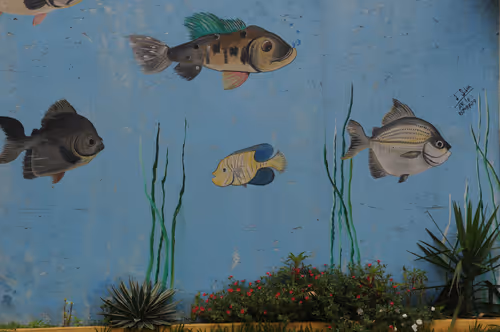 Item #87043191752969868956033485291234168825539198761210086357082578179796972339201 Media