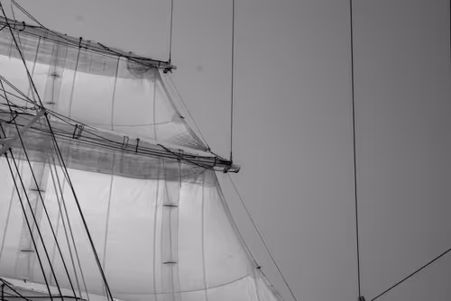 Item #34110083671509346653453586160941404072216291014688644284046702313116373352449 Media