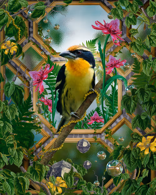 Item #52157283746525259542450048435420026544825586665161748575613848738093328236545 Media