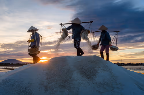 Item #44380994338133063636427405274069008736849147253072084515634940306309444009985 Media