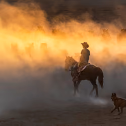 Cowboy and his dog