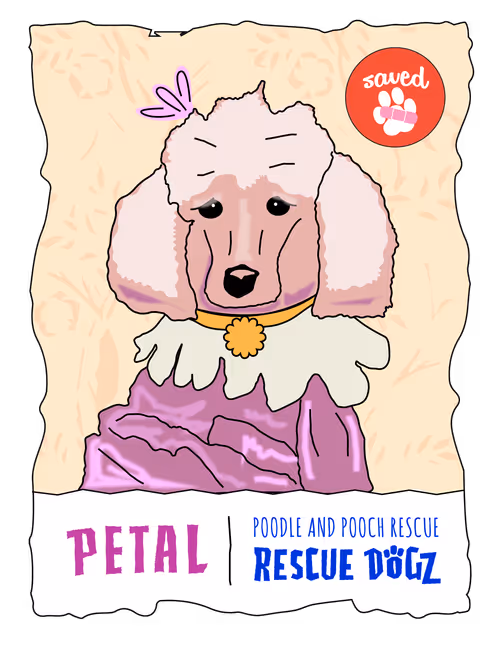 Item #30690731946652718087334591486962028713730520455891869769803774221874882412545 Media