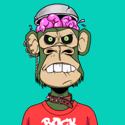 104021389316208234563237630241849261889577245697043173256103074172083776782337