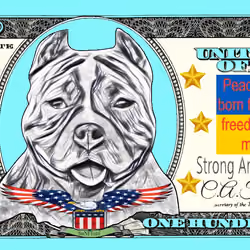 Dollar StaNFTord 92