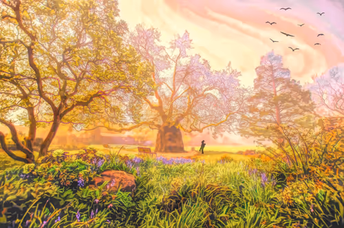 Item #52186198635424597728176025515183066148153471361030465447758552225865745301505 Media