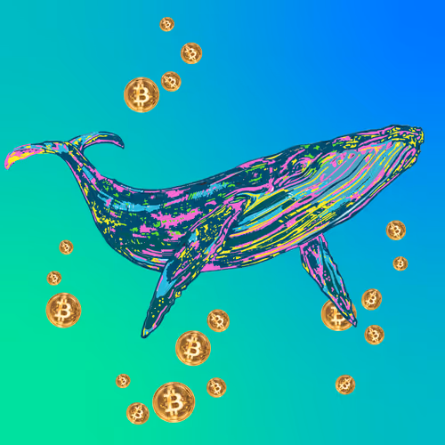 PartnersnCrypto Collection