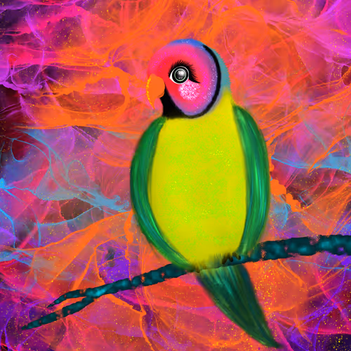 Item #88512563936544511640379150261301015065619949825470528122971693243385899909121 Media