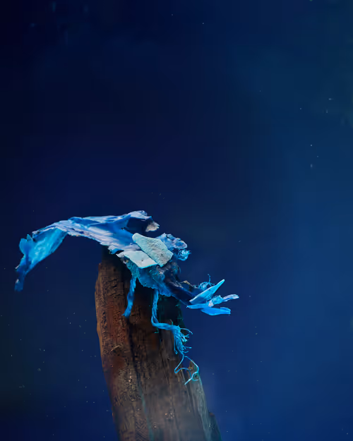 Item #109516060790128716410476023957010007194992899360469946350860993272112708845569 Media