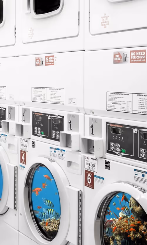 Item #839262920940614997818243679761405286097245594497602606353983893219921887233 Media