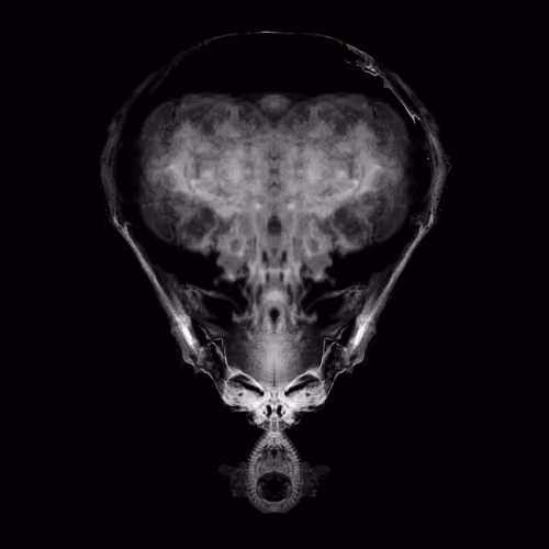 Alien Embryo - 212 of 2000