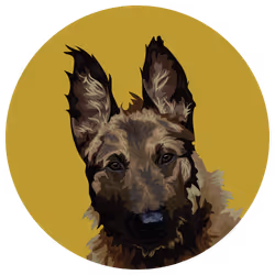 54766349128176429303044182404049584425310907481653304317570413960619146346497