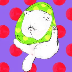 37787359946517531250562291799525874448910537892577059247393481187168754860033