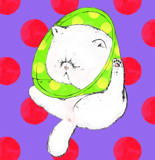 Item #37787359946517531250562291799525874448910537892577059247393481187168754860033 Media