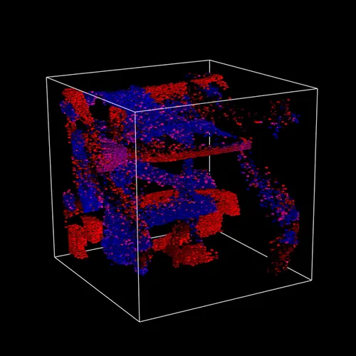 Item #76477907301278796608859036519063341014600640660075023904303767564687769600001 Media