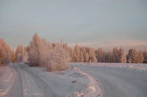 Item #89749655781633695214918973850275472722969414754438239918620403797430011691009 Media