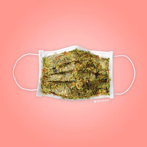 Weed Feed