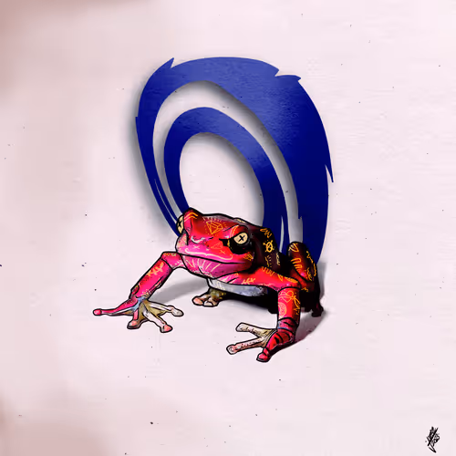 Sounds From The PInk Tats Frog