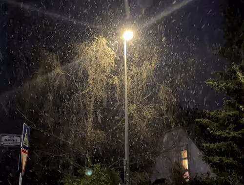 Item #62175267119956854346768101641824727859604734918017792062945530245822623514625 Media