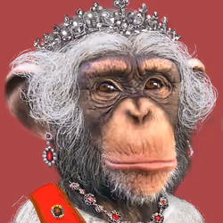 Queen Ape Royal