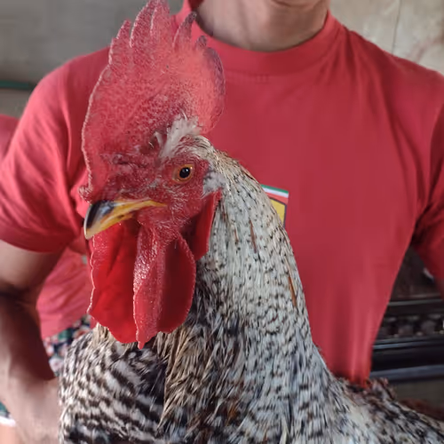 91976069635928437123031191877950598146866165630625287958360390697988342677509