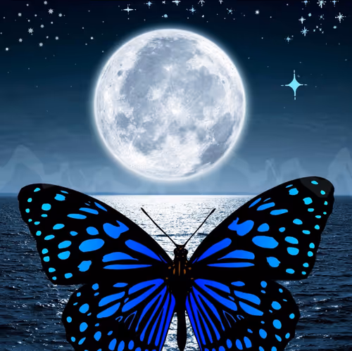 Item #103993159801939212947862435915768526830949367773405720599940413165341346103297 Media