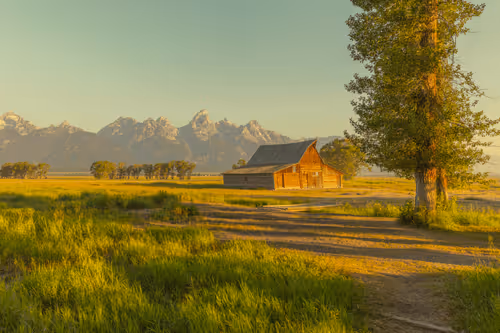 Vaughn Meadows - Private Collection