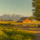 Vaughn Meadows - Private Collection