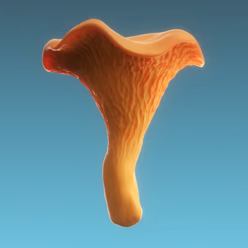 Item #95653877050150474555742155054455970472164202465768371638498213967887532556289 Media