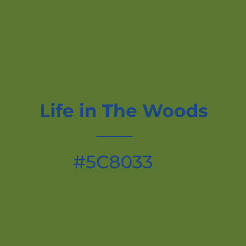Life in The Woods #5c8033