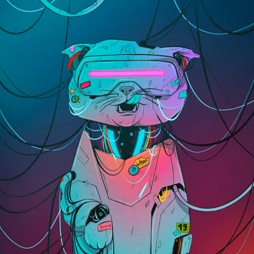 Meoow Collection 1