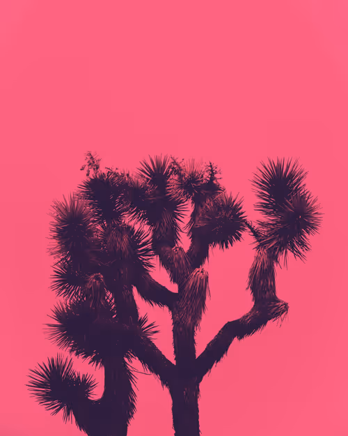 Item #30505376151714534788901893272426756078868651055776643414965977858704635068431 Media