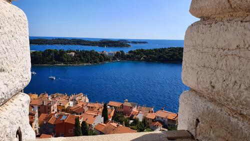 Item #41710495051253728513417233930932535486620982001984973039439061927209767796737 Media