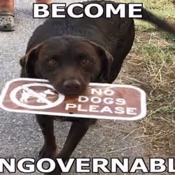 BECOME UNGOVERNABLE #3
