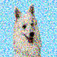 69299248320007245858273704487272307442095043532572874503823859213221522046977