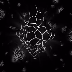 Fractal Reflection