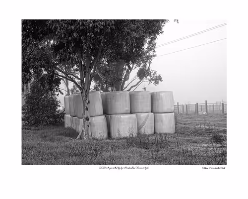 Item #24600310660482288606297797528155087939323639147399647196853483696315864973313 Media