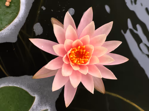 Item #20690686598406327978537158336164426387947003883481915028812449931108546510849 Media