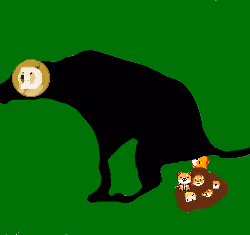 sheetcoin