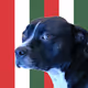 648008096045867044483137489329882592233555462946033952975388132281927335937