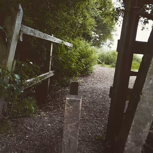 Item #105237010342582609876748436582366170093723610565651913513256945277587286917121 Media