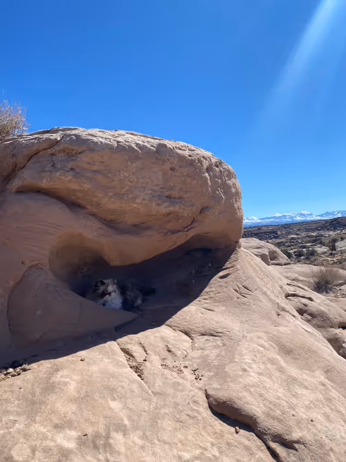 Item #88063557034118437660925886446302507819426649905583175627315428952012304154625 Media