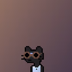 KOOL KITTENZ #22